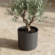 Elho B.for soft - Anthracite - ⌀18 cm ↕17cm