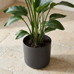 Load image into Gallery viewer, Elho B.for soft - Anthracite - ⌀22 cm ↕20cm