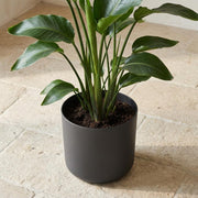 Elho B.for soft - Anthracite - ⌀22 cm ↕20cm