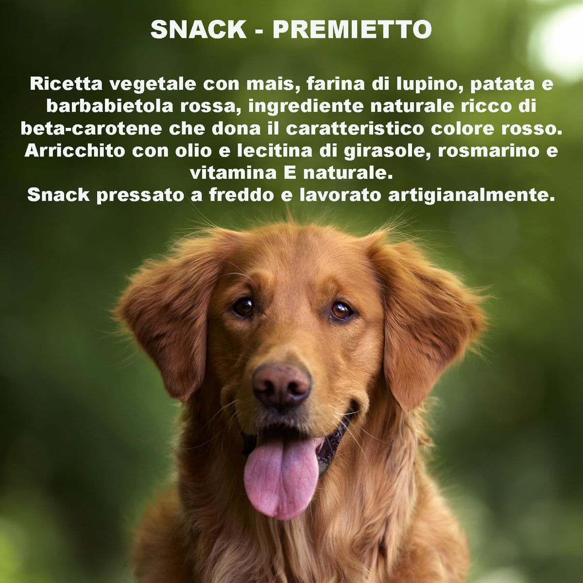 GREENHEART-PREMIUMS | 1 Kg di Snack Stelline Rosse | Masticabili per Cani Vegane e Senza Glutine | Premium | 100% Naturali | No Coloranti o Antiossidanti Chimici
