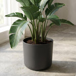 Load image into Gallery viewer, Elho B.for soft - Anthracite - Ø24cm - ↕24cm