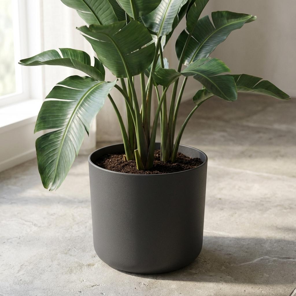 Elho B.for soft - Anthracite - Ø24cm - ↕24cm