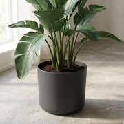 Elho B.for soft - Anthracite - Ø24cm - ↕24cm