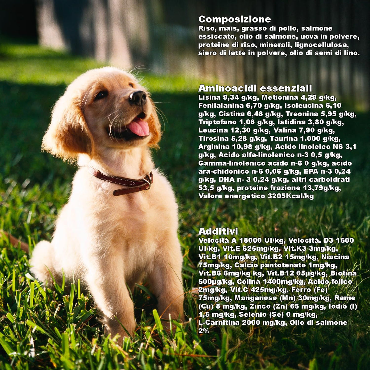 3D Kidney, Liver, and Heart Support Dog Kibble (3 kg) - 100% Natural Ingredients