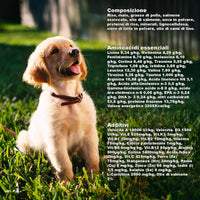 3D Kidney, Liver, and Heart Support Dog Kibble (3 kg) - 100% Natural Ingredients