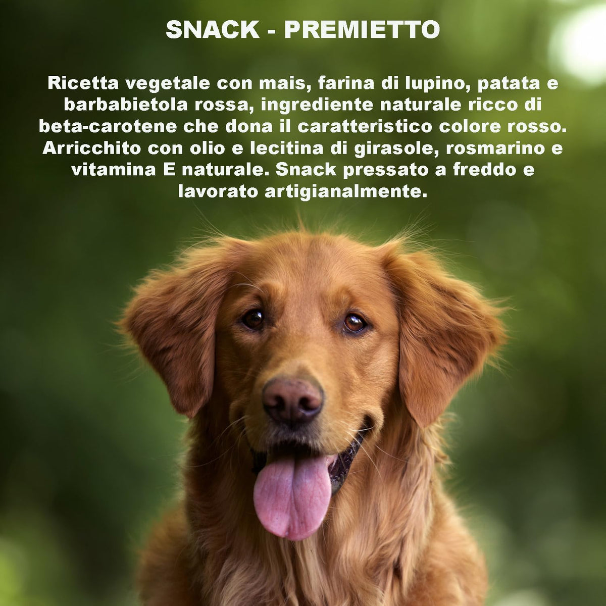 Red Bars Snacks For Dogs (1 Kg) - 100% Natural and Vegan Ingredients