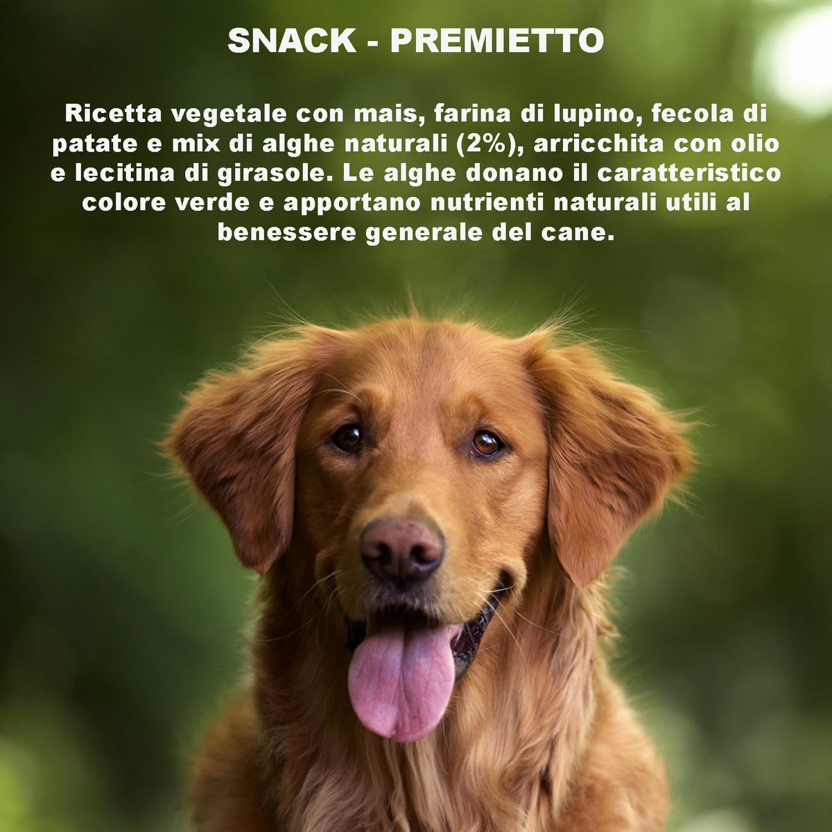 GREENHEART-PREMIUMS | 1 Kg di Snack Barrette Verdi | Masticabili per Cani Vegane e Senza Glutine | Premium | 100% Naturali | No Coloranti o Antiossidanti Chimici