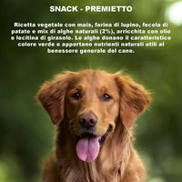 GREENHEART-PREMIUMS | 1 Kg di Snack Barrette Verdi | Masticabili per Cani Vegane e Senza Glutine | Premium | 100% Naturali | No Coloranti o Antiossidanti Chimici