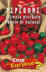 CHILI PEPPER SEED KIT | 5 Seed Packets | Jalapeño | Thai Dragon | Habanero Red | Cherry Chili (Bacio di Satana) | Carolina Reaper | Grow the heat at home!