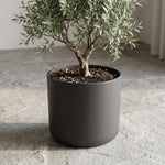Load image into Gallery viewer, Elho B.for soft, Anthracite - Ø35cm - ↕32,3cm