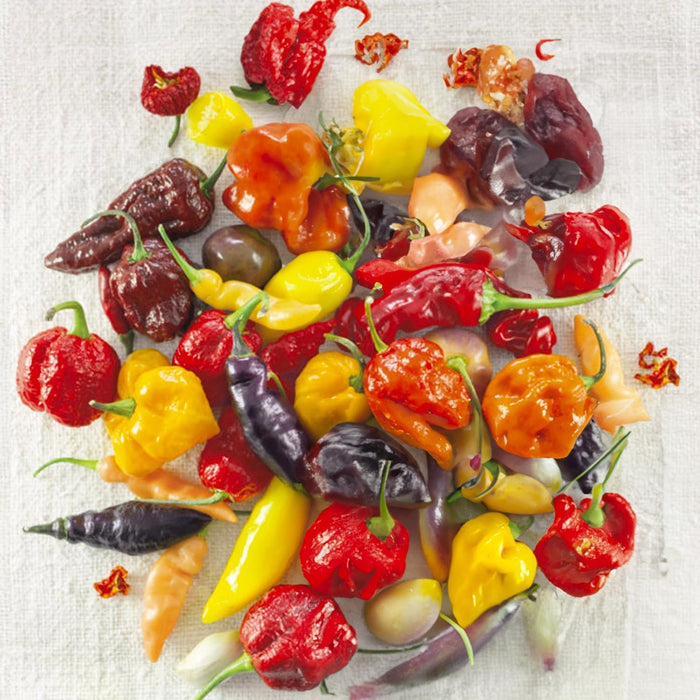 CHILI PEPPER SEED KIT | 5 Seed Packets | Jalapeño | Thai Dragon | Habanero Red | Cherry Chili (Bacio di Satana) | Carolina Reaper | Grow the heat at home!