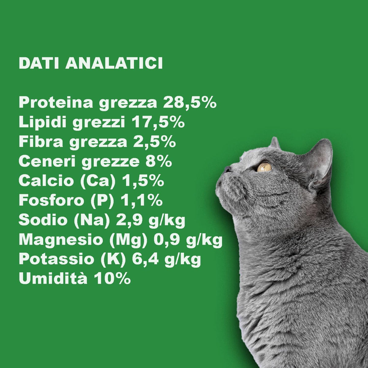 Crocchette per gatti adulti da 1,5 kg AGNELLO E RISO - Senza Glutine, 100% Ingredienti Naturali