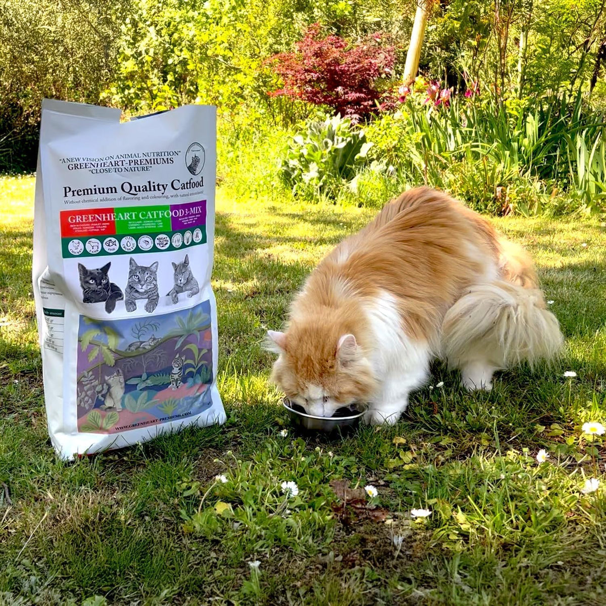 Cat Kibble 3-MIX | LAMB - CHICKEN - FISH – 100% Natural Ingredients