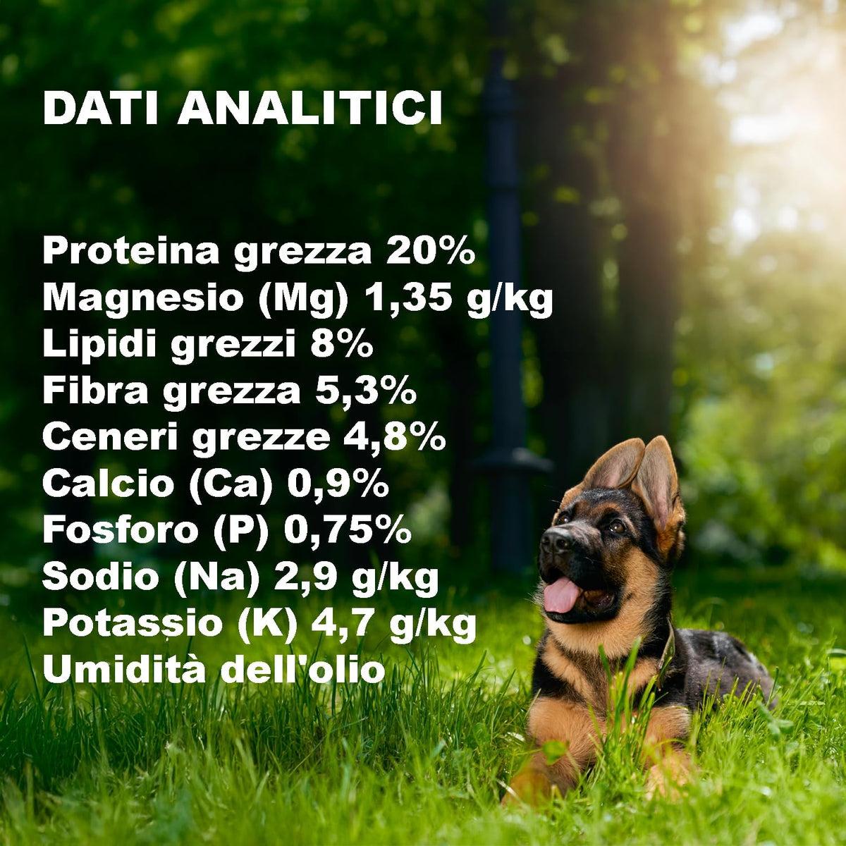 Adult Dog Kibble NORMAL USE LIGHT (3 kg) - 100% Natural Ingredients