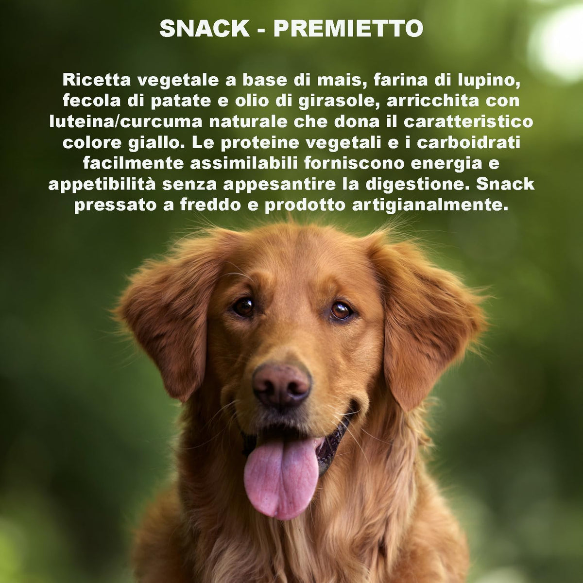 Yellow Stars Snacks For Dogs (1 Kg) - 100% Natural and Vegan Ingredients