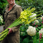 Gladiolus ‘Greenstar’ Bulbs (7)