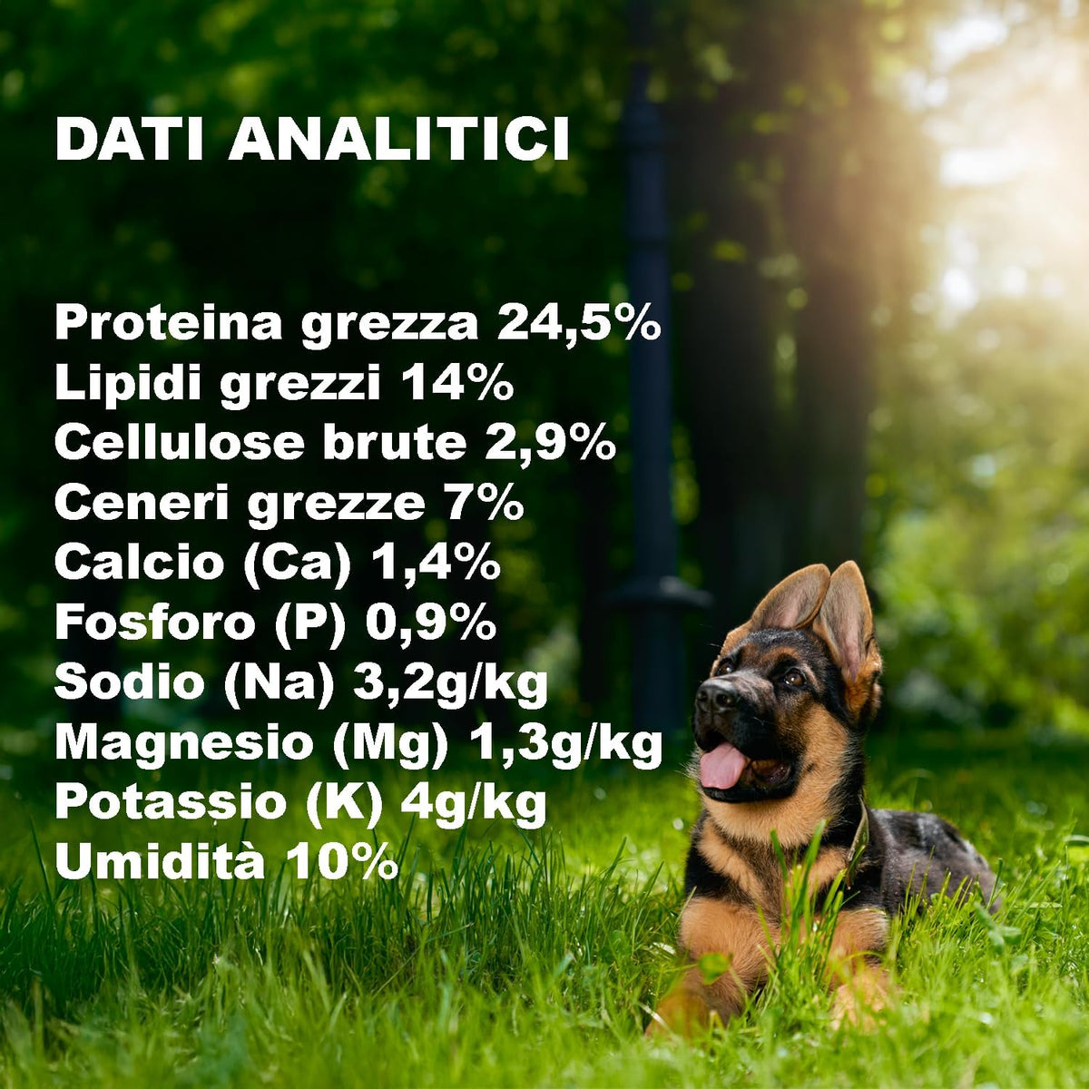Anti-Allergy Kibble for Sensitive Dogs (3 Kg) - 100% Natural Ingredients
