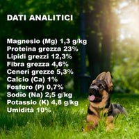 Adult Dog Kibble MEDIUM ENERGY (3 kg) - 100% Natural Ingredients