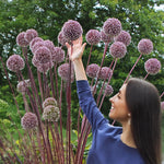Carica l&#39;immagine nel visualizzatore Galleria, Allium &#39;Summer Drummer&#39; - 3 Bulbi
