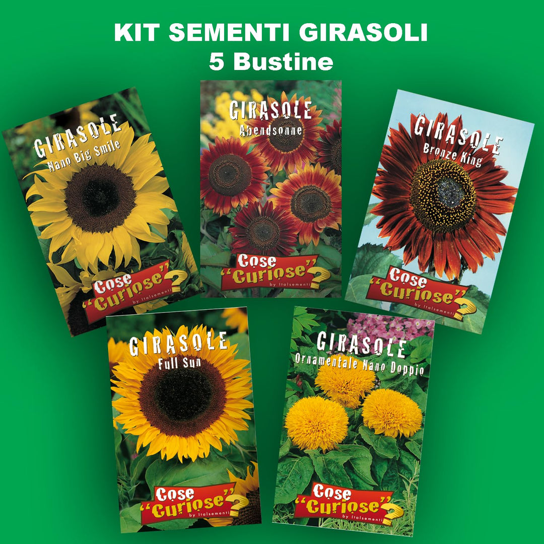 Sunflower Seed Kit - 5 Seed Bags (Evening Sun, Dwarf Sunflower 'Big Smile', 'Bronze King', 'Full Sun', Double Dwarf Sunflower)