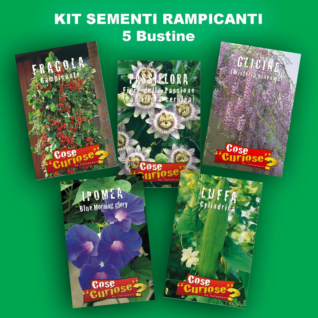 Climbing Plant Seeds Kit - 5 Seed Bags (Wisteria, Climbing Strawberries, Passion Flowers, Loofah, Blue Morning Glory)