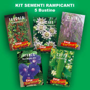 Climbing Plant Seeds Kit - 5 Seed Bags (Wisteria, Climbing Strawberries, Passion Flowers, Loofah, Blue Morning Glory)