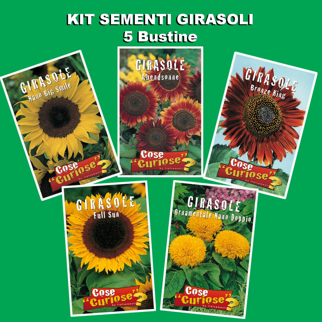 SUNFLOWER SEED KIT | 5 Seed Packets | Abend Sonne | Dwarf Big Smile | Bronze King | Full Sun | Double Dwarf Ornamental