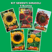 SUNFLOWER SEED KIT | 5 Seed Packets | Abend Sonne | Dwarf Big Smile | Bronze King | Full Sun | Double Dwarf Ornamental