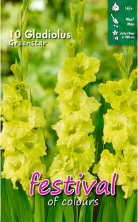Gladiolus ‘Greenstar’ Bulbs (7)