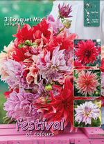 Load image into Gallery viewer, Labyrinth Bouquet Collection Dahlia Bulbs (3) – up to 100 cm