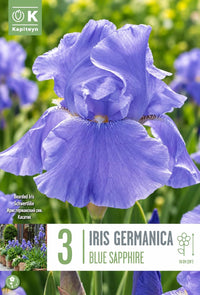 Iris germanica BLUE SAPPHIRE (3 Rizomi)