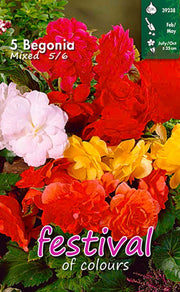 BEGONIA Double Mix bulbs (5)