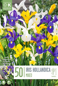 Iris hollandica in miscuglio (50 Bulbi)