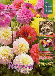 Decorative Dahlia Mix bulbs (5) – Height up to 50 cm