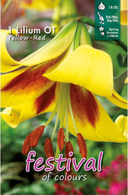 Bulbi di Lilium ROBERT SWANSON (1)
