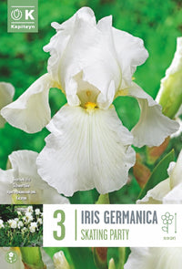 Iris germanica SKATING PARTY (3 Rizomi)