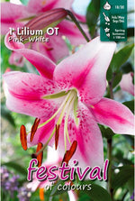 Load image into Gallery viewer, Bulbi di Lilium OT ANASTASIA (1)