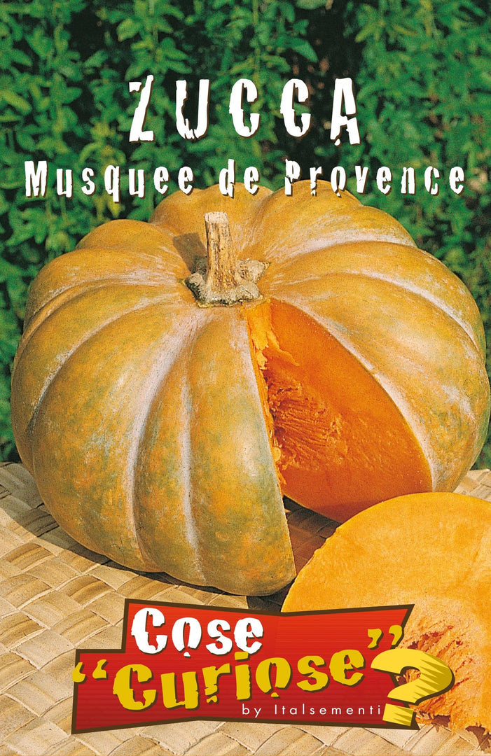 KIT DI SEMENTI DI ZUCCA EDIBILE | 5 Bustine di SEMI | Zucca BUTTERNUT - Zucca DELICA - Zucca MARINA DI CHIOGGIA - Zucca MUSQUEE DE PROVENCE - Zucca RED KURI
