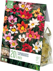 Sparaxis Mix Bulbs (20)