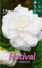 Load image into Gallery viewer, White Double Begonia Bulbs (3)
