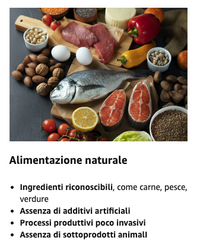 GREENHEART-PREMIUMS | 1 Kg di Snack Barrette Verdi | Masticabili per Cani Vegane e Senza Glutine | Premium | 100% Naturali | No Coloranti o Antiossidanti Chimici