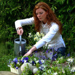 Load image into Gallery viewer, Anemone coronaria &#39;The Bride&#39; - 10 Bulbs
