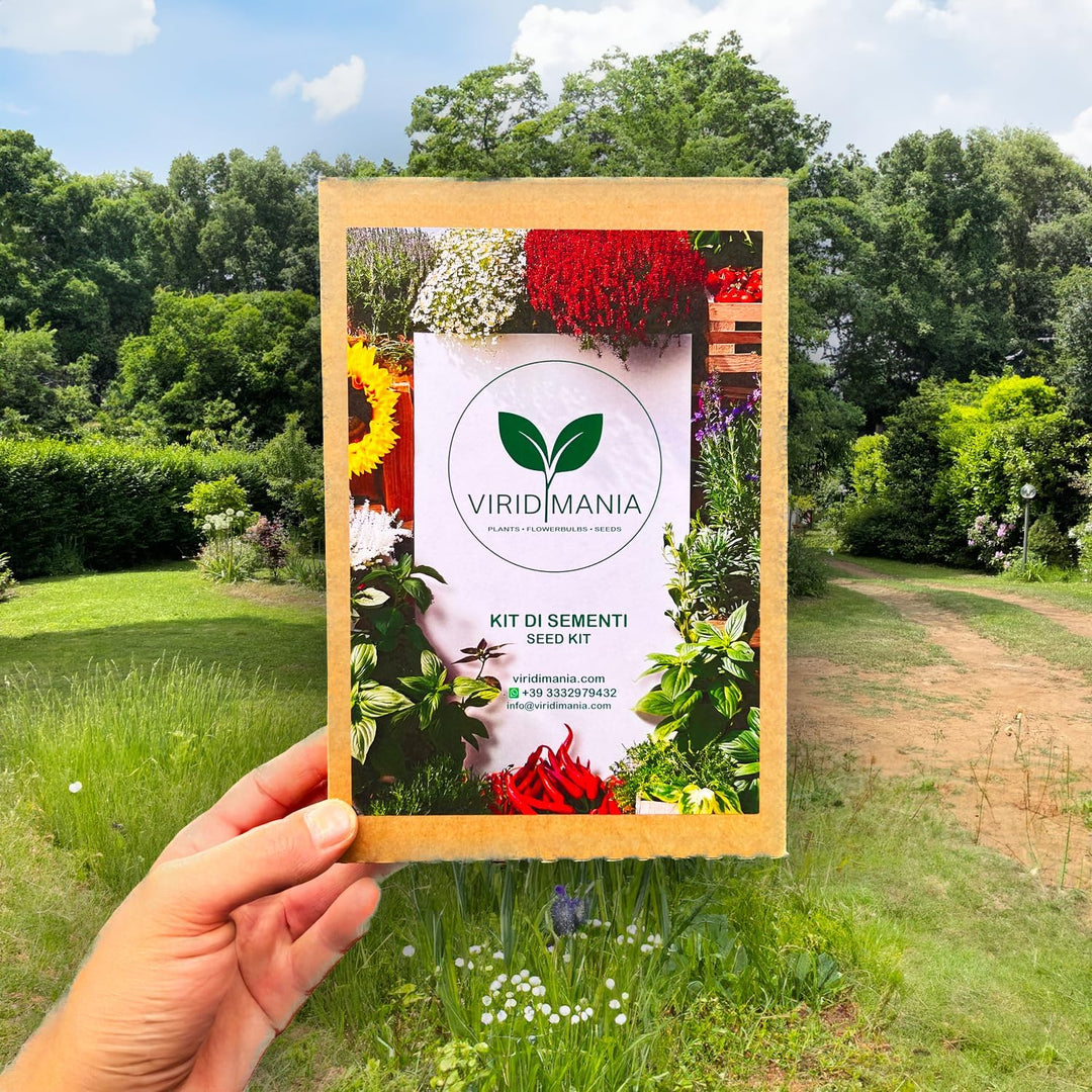 Climbing Plant Seeds Kit - 5 Seed Bags (Wisteria, Climbing Strawberries, Passion Flowers, Loofah, Blue Morning Glory)