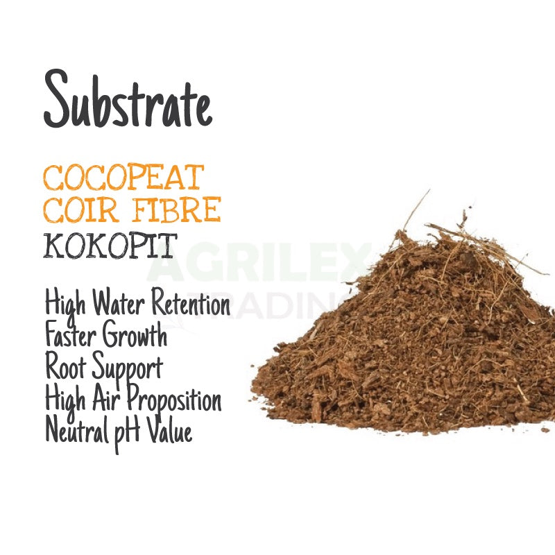 Fibra di cocco in chips - 3L