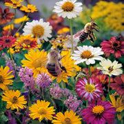 Flower Seed Kit - 5 Seed Bags (Mix of Cosmos bipinnatus, Flowers for Bees, Flowers for Butterflies, Dwarf Japanese Lawn, Tagetes)