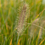 Load image into Gallery viewer, MM-MEC-0911 - 1

