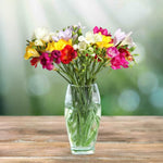 Load image into Gallery viewer, Freesia Single Mix - 15 Bulbs
