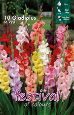 Load image into Gallery viewer, Mixed Gladiolus Bulbs (10)