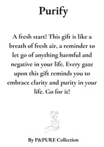 Load image into Gallery viewer, Clusia Rosea Gift "Purify" WITH GREETING CARD! - Ø12cm - ↕30cm