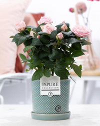 Rosa Light Pink In P&PURE Lauren Ceramics - Ø12cm - ↕30cm